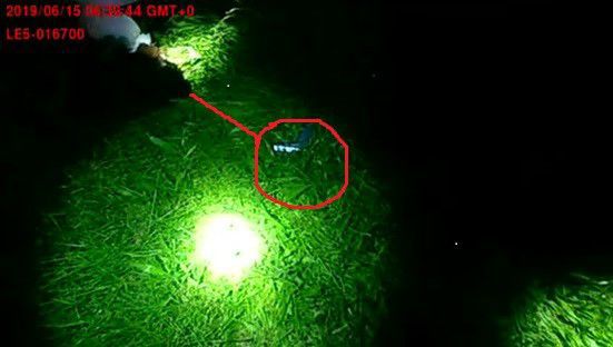 Gun in grass, body cam